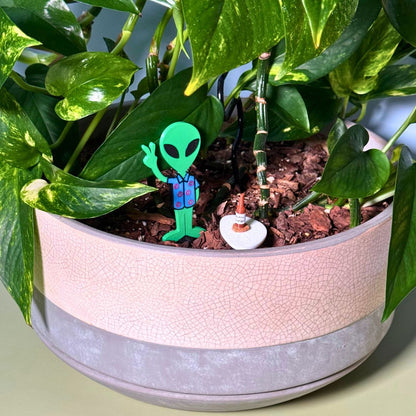Fun alien plant stake with a drink and holding a peace sign up