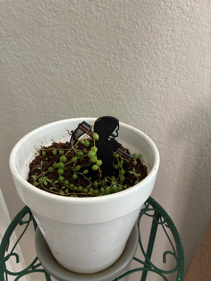 Grim Reaper Plant Stakes | Goth Plant Decor customer review photo
