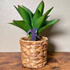 Cute little grim reaper plant decor in a houseplant