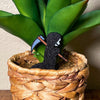 Cute grim reaper plant stake in a houseplant with a black robe