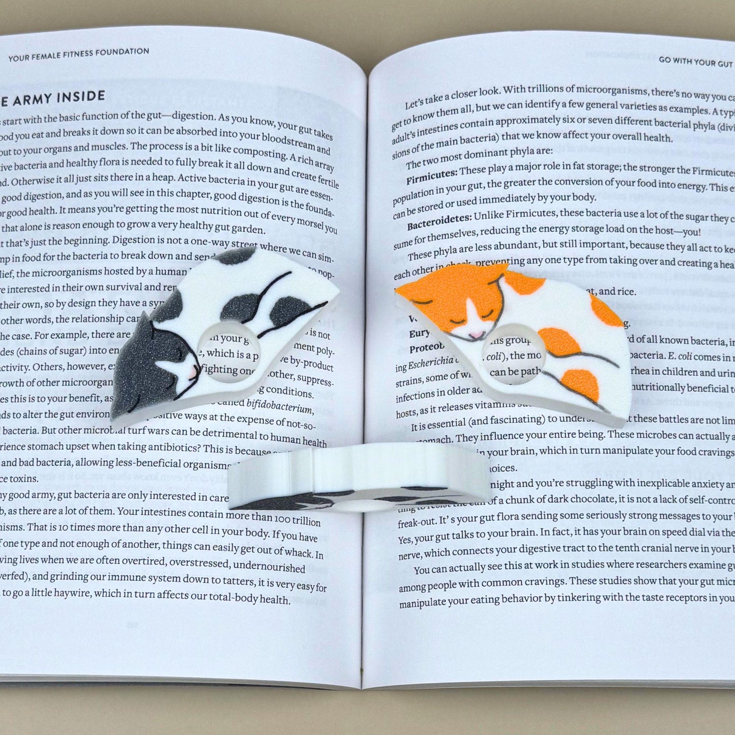 Cat Book Page Holder | Spotted White Cat Reader Gift
