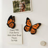 Butterfly Fridge Magnets | Cute Kitchen Gift Set
