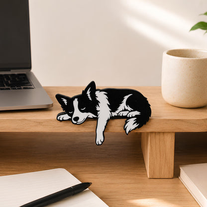 Border Collie shelf pet napping on a light wood monitor riser beside a laptop and a speckled mug