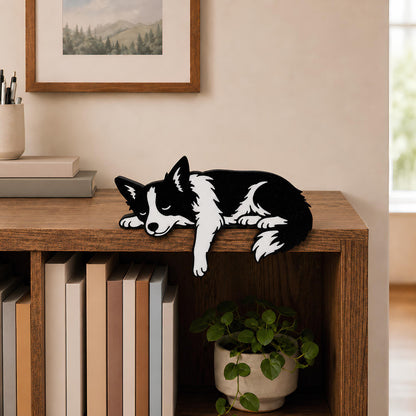 Border Collie shelf pet lounging on a dark walnut console table above a row of books and a trailing plant
