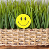 Retro plant stake in happy smiley face style