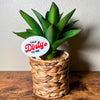 The punny Talk Dirty to Me plant stake in a houseplant