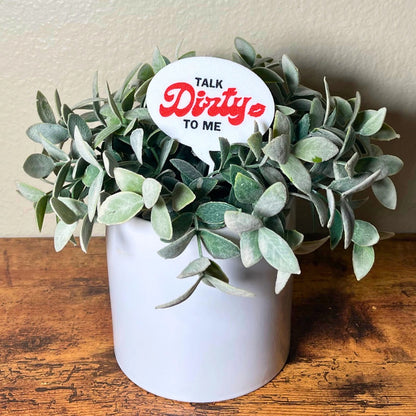 The punny Talk Dirty to Me plant stake in a houseplant