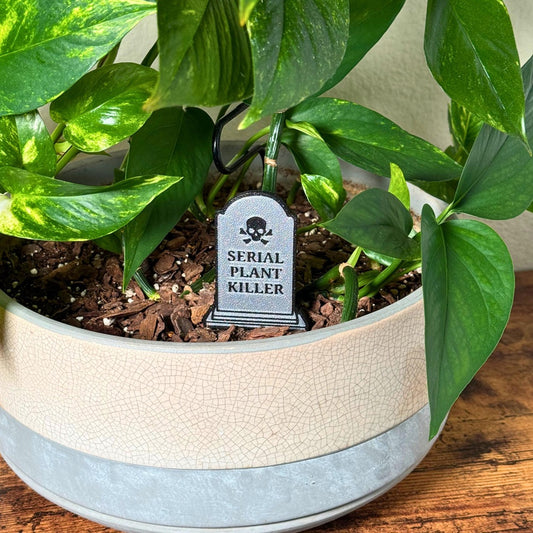 Grey tombstone that reads "Serial Plant Killer" in black font in the soil of a philodendron from a different angle