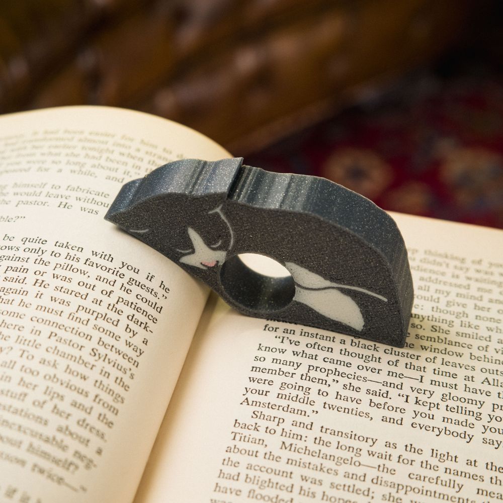 Sleepy grey tuxedo cat page holder resting in a book