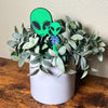 Fun alien plant stakes shown in a houseplant