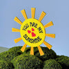 You Are My Sunshine Decorative Plant Stakes