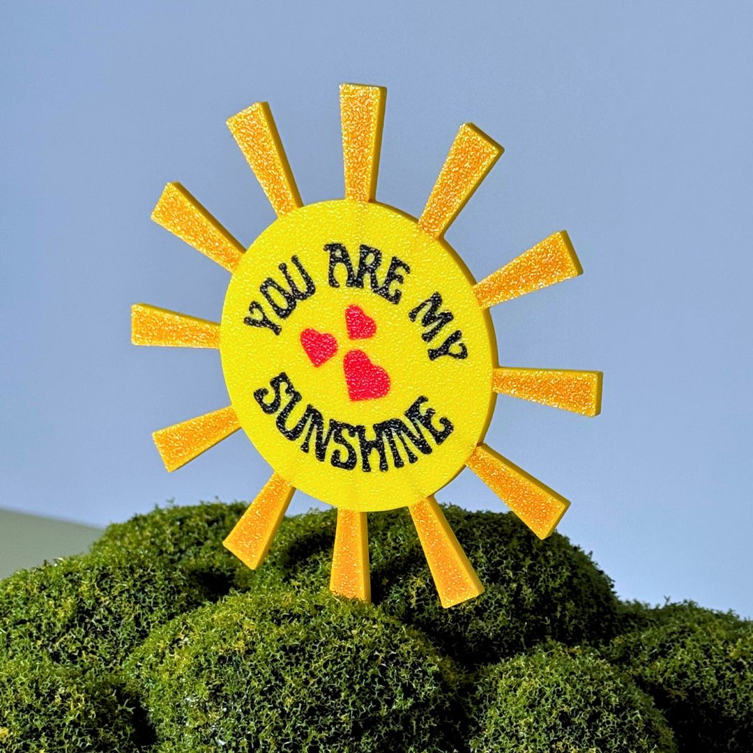 You Are My Sunshine Decorative Plant Stakes