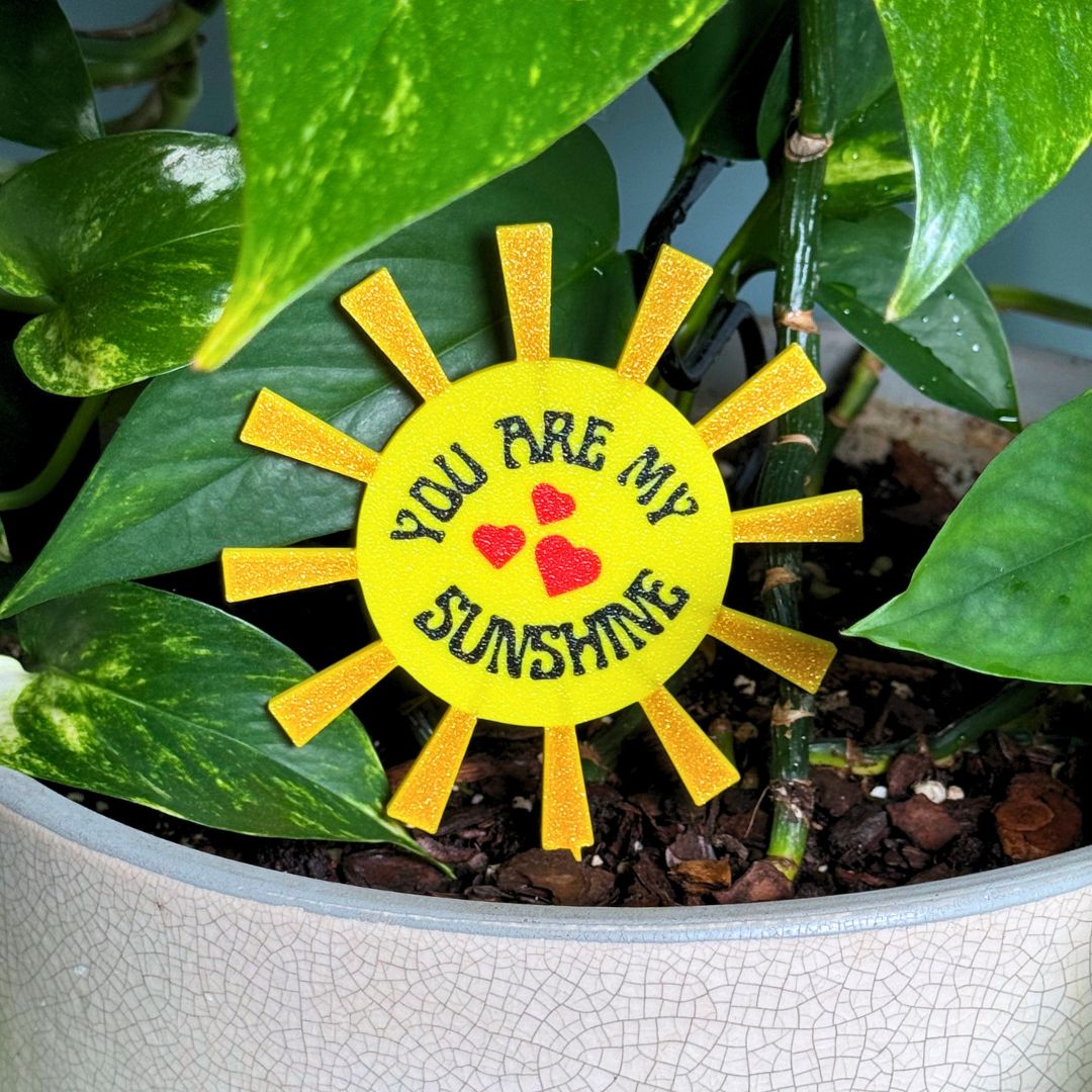 You Are My Sunshine Decorative Plant Stakes