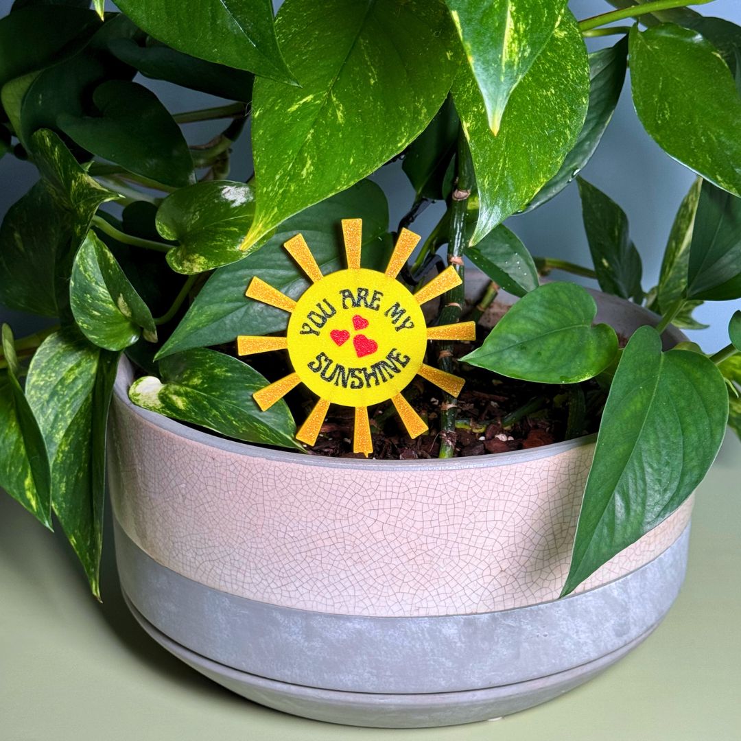 You Are My Sunshine Decorative Plant Stakes