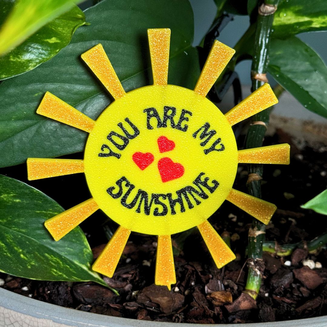 You Are My Sunshine Decorative Plant Stakes
